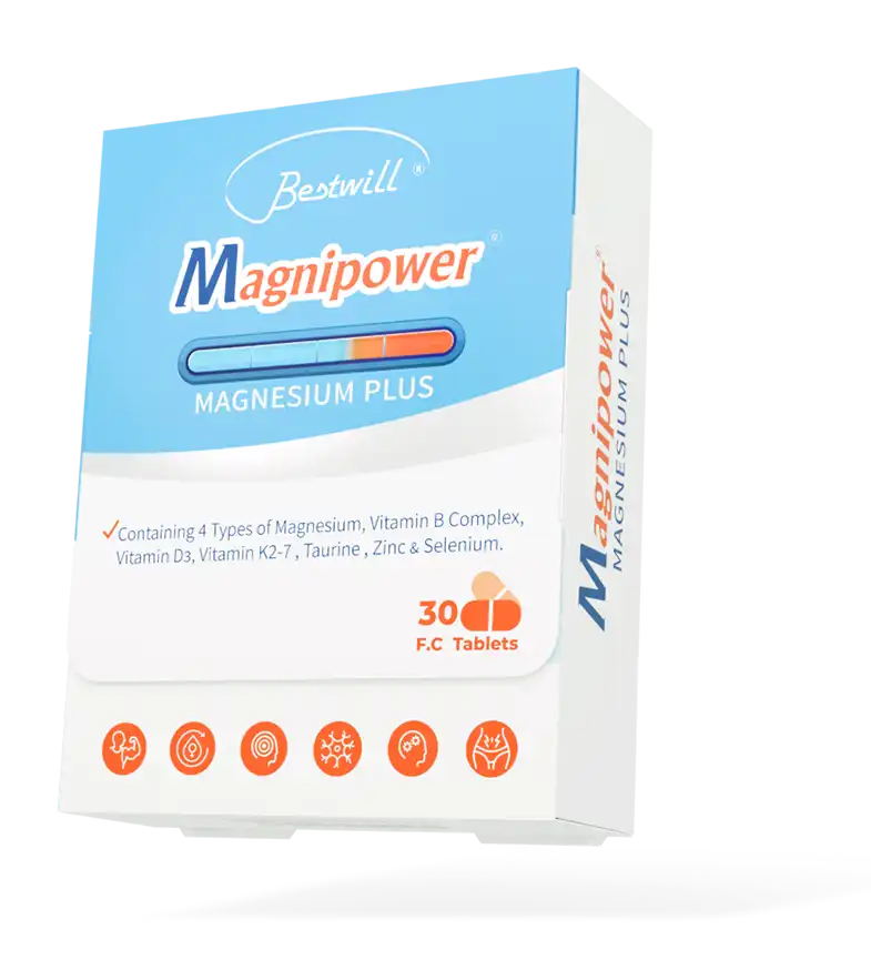 MAGNI POWER